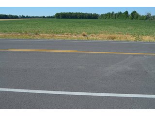 Property photo 23 - 108 +/- Acres Offered in 2 Tracts - Land Auction